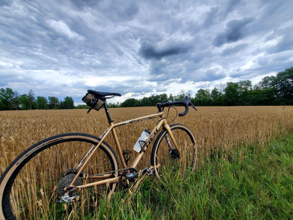 speedriverbike's tweet photo. More fields.
More bikes.
More awesome summer days.
#trek #trekbikes #getoutside #cyclingphotos #werideonsunday #bikerides #ontarioweather https://t.co/V6nX93Vgzp