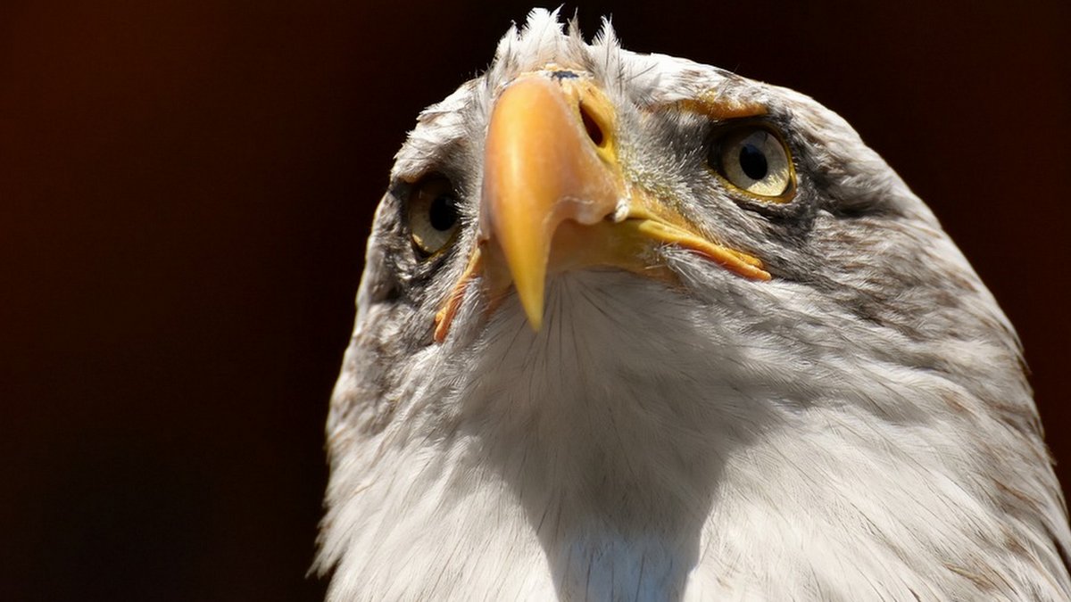 Korkma burası Beşiktaş <a href="/BesiktasJK/">Beşiktaş JK Kurumsal</a>