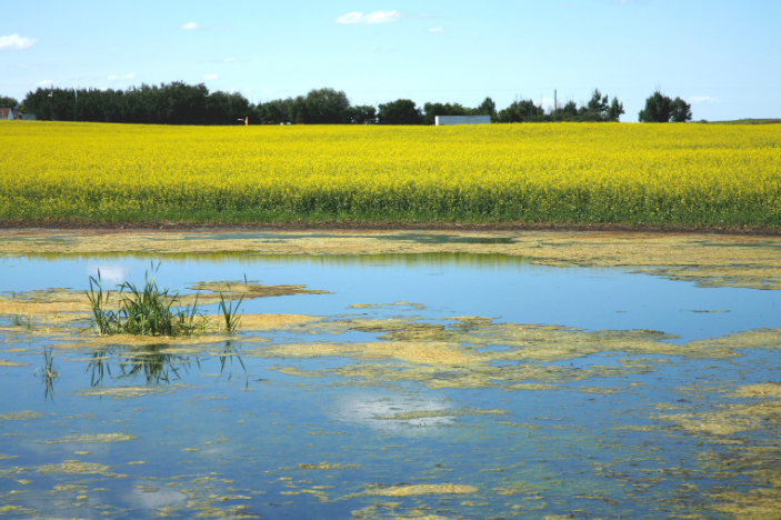 AlbertaEFP's tweet photo. Check out this helpful list of resources on agriculture and the environment #abag #environmentalfarming https://t.co/EscrtIn6wH https://t.co/052Ox5Qrkl