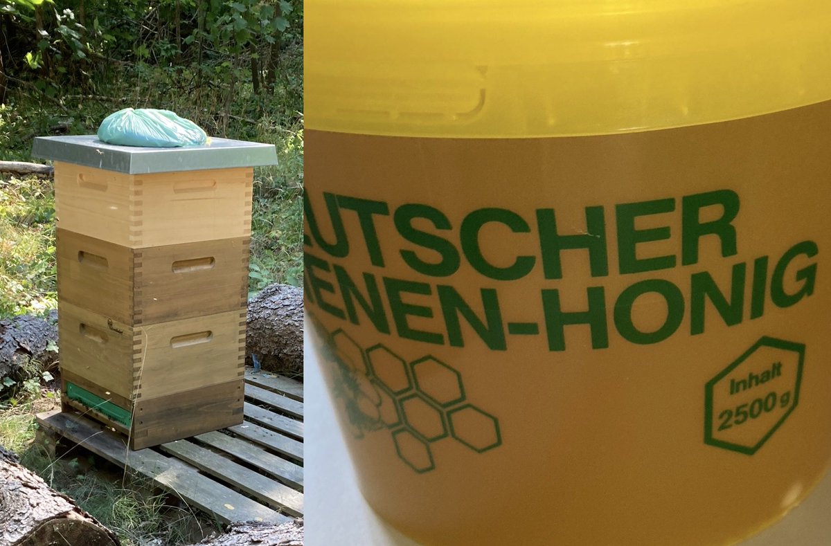 Auf dem Gelände der Jugendarrestanstalt befindet sich ein Bienenstock und ab sofort gibt es zum Frühstück für unsere Jugendlichen auch Bienenhonig. 
🐝 🐝 🍯 @NetzGrueneBib