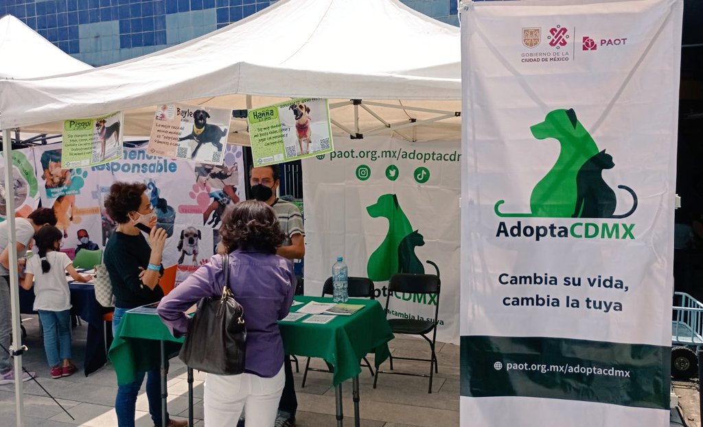 PAOTmx's tweet photo. Un poco del 1er fin de semana  de adopción!🐶🐾🖤

Si apenas te enteraste, ¡no te preocupes! Aún puedes
conocer y adoptar un perrito
🗓️ 20 y 21 de agosto 
📍 Dentro de @Papalote_Museo de Chapultepec 🦗
⏰12 a 4 h

⬇️Llena aquí la solicitud da adopción 👇https://t.co/qfEwYbqBqd https://t.co/xFgxkv1jTI