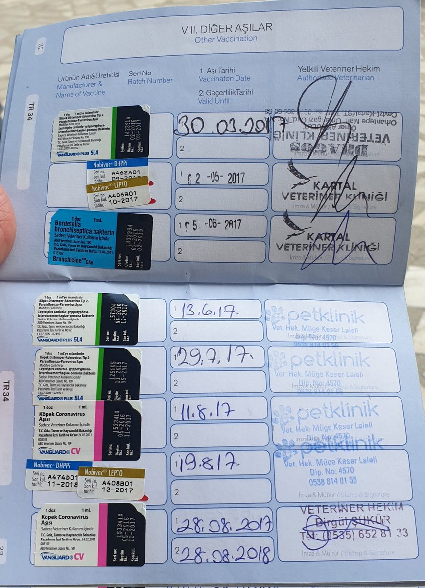 2017  coronavirus yokken,köpeklere bu aşının yapıldığını biliyormuydunuz?