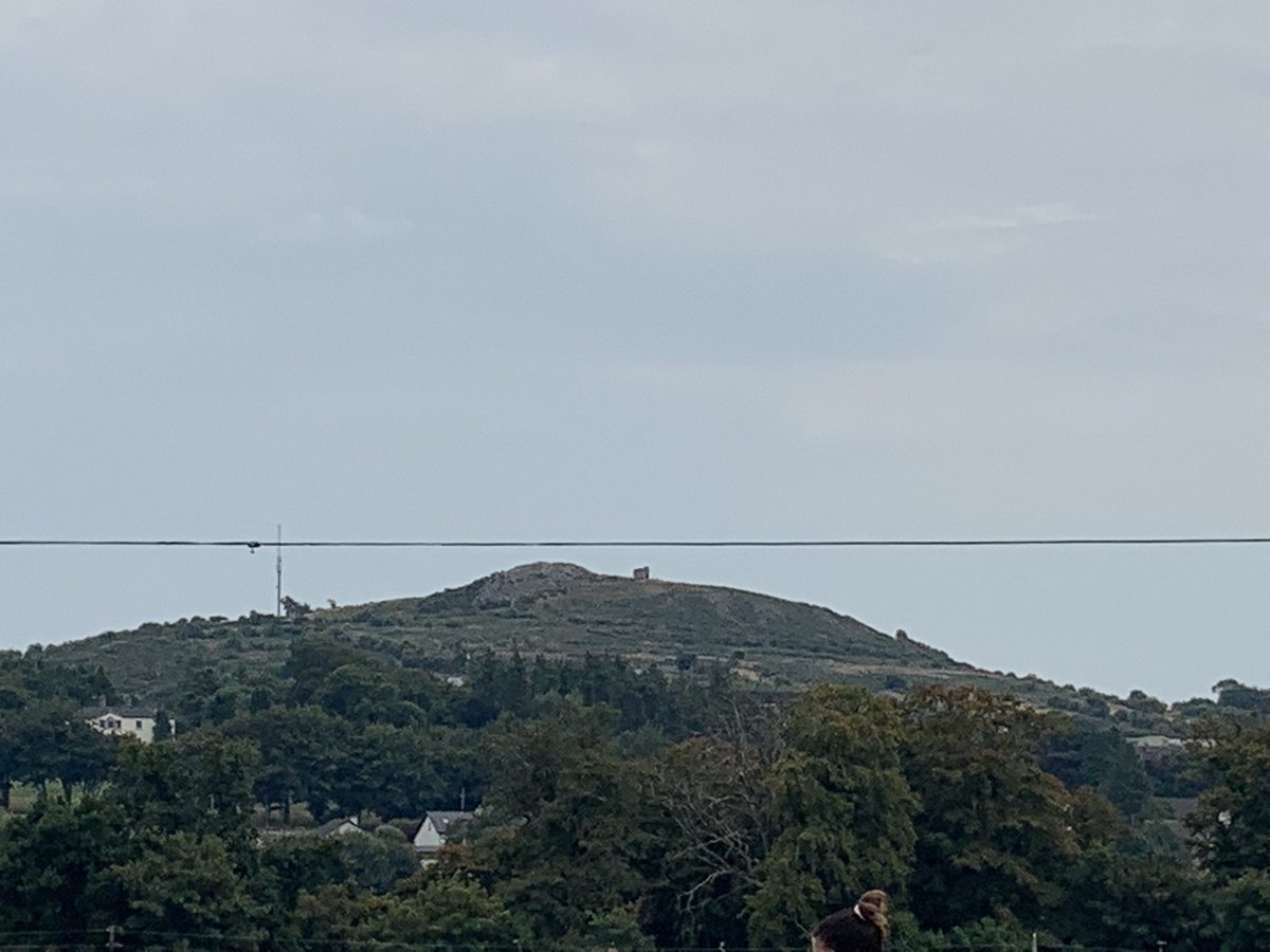 Mr. Atkinson tweet media