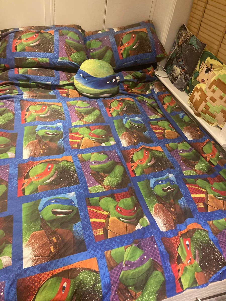 Being an adult means adult bed sheets…….. #TMNT #tmnt2012 #teenagemutantNinjaturtles #Zelda #nintendo #bedtime #cowabunga #pizzatime #beinganadult