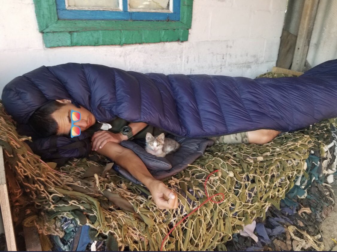 UAarmy_animals's tweet image. Good night! 

The photo shows a Ukrainian soldier sleeping with a cat.