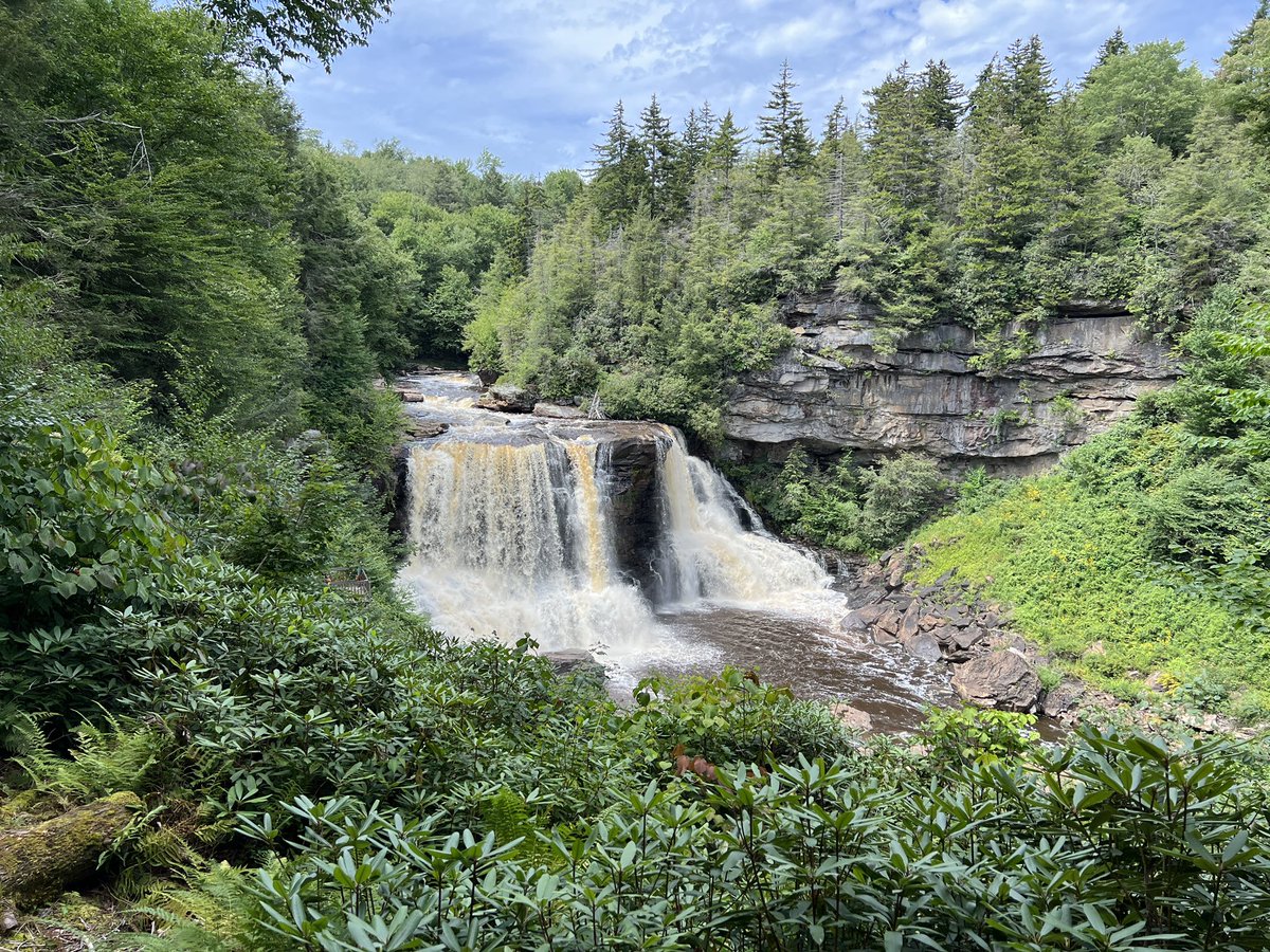 Had an awesome time dispersed camping in my @ford  Bronco while Exploring Canaan Loop Road and Blackwater Falls State Park in West Virginia #broncosummer