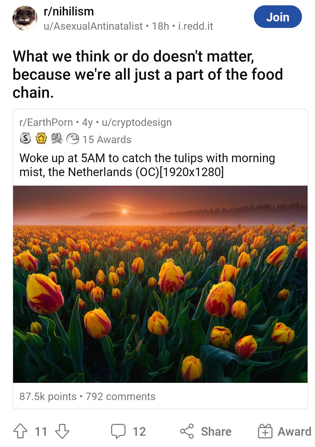 Nihilists/Antinatalists Posting Their L's Online (NihilismLs) / Twitter