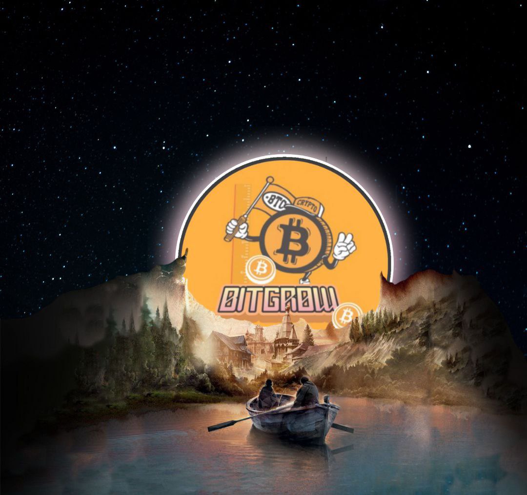 BitGrow #LetsGrow tweet media