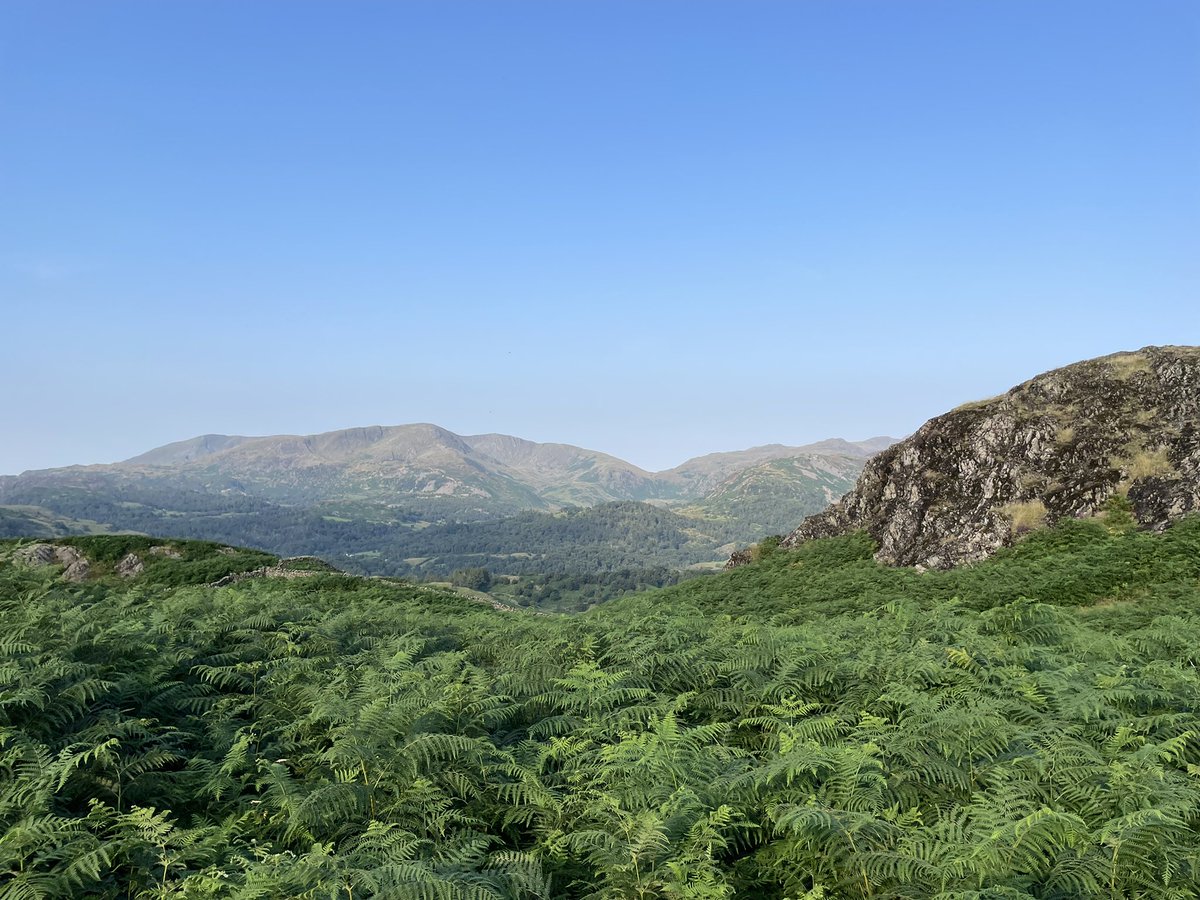 Whiffenpuff's tweet photo. A small photo dump from todays adventures in the fells and around the perimeter of Windermere.
Restoration peace ๐๐ผ
#LakeDistrict #ItsNotFlat ๐ https://t.co/40g1YLb1PH