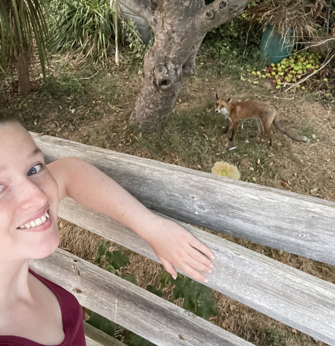 What should his name be? He pees on everything and steals the neighbours shoes. Screams into the night. Doesn’t like rice (the only thing I’ve offered him, maybe shoes taste better…?)