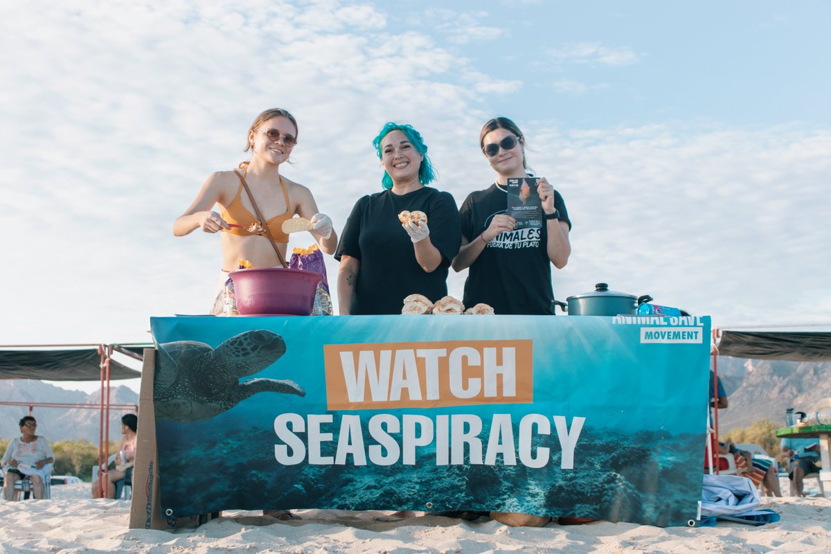 AnimalSaveHMO's tweet photo. En la etapa vacacional de Julio, estuvimos durante un fin de semana en San Carlos, Sonora y realizamos una protesta en el #DelfinarioSonora por la libertad de los delfines y lobos marinos que tienen en cautiverio, y dimos a degustar comida basada en plantas en playa los algodones https://t.co/bxwx7flCvo