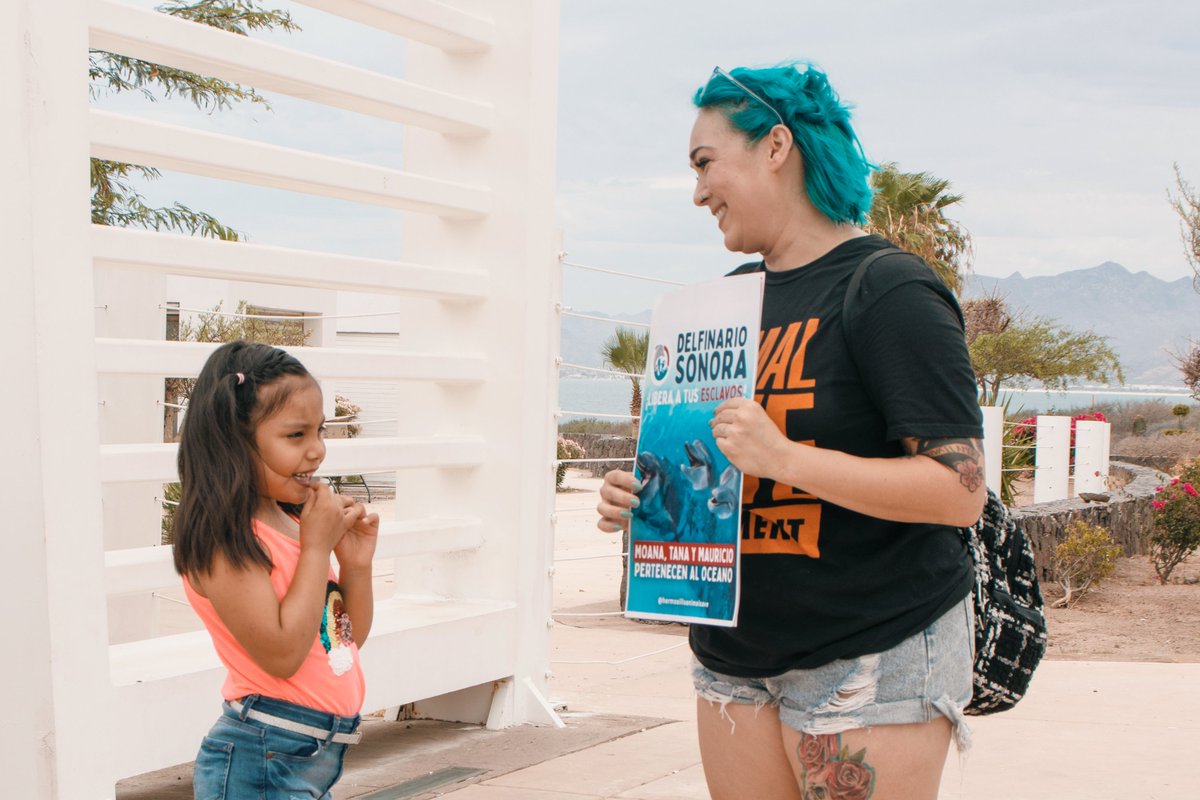 AnimalSaveHMO's tweet photo. En la etapa vacacional de Julio, estuvimos durante un fin de semana en San Carlos, Sonora y realizamos una protesta en el #DelfinarioSonora por la libertad de los delfines y lobos marinos que tienen en cautiverio, y dimos a degustar comida basada en plantas en playa los algodones https://t.co/bxwx7flCvo
