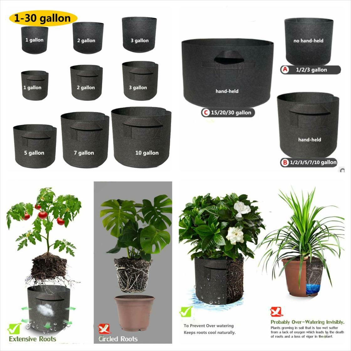 WoopShop_com's tweet photo. Thicken Non-Woven Plant Grow Gallon https://t.co/Rsl1Wyq4Ge
 #me #follow https://t.co/4TyDNT0u5i