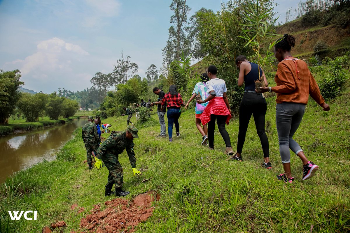 Ushinzwe kubungabunga ibidukikije <a href="/sfrihero/">Safari Claude</a> yasobanuye akamaro k’ umugano nk’ igiti kirwanya isuri, kurinda inkanku  no kongera ubwiza bw’ amarembo y’ umugi wa Musanze.