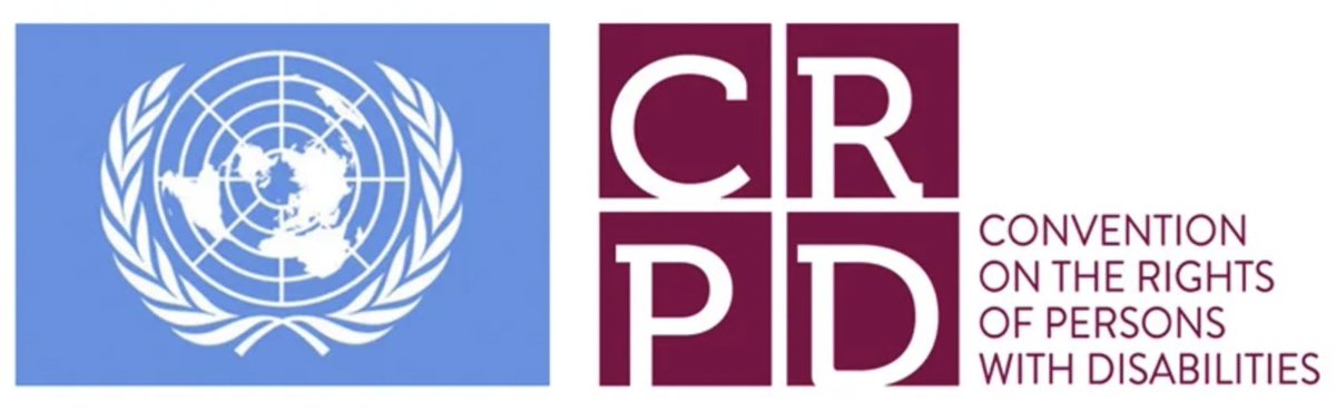 At 3 pm CET, the CRPD Committee starts its dialogue with #Indonesia 
Find OPD submissions and more info on this review and on the 27th session at bit.ly/3BF2M7k 
Follow live at bit.ly/3JXgTHq! 
#CRPDNow! #CRPD27