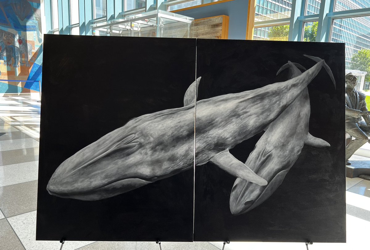 High Seas Alliance (@highseasallianc) on Twitter photo Are you ready? The UN negotiations for a #HighSeas Treaty open again tomorrow. Today we installed original artwork by <a href="/mathias_horne/">Mathias Horne</a>
at the UN, as part of an exhibition on the biodiversity we can save with a robust outcome. Stay with us for updates on progress #ListenToTheOcean Are you ready? The UN negotiations for a #HighSeas Treaty open again tomorrow. Today we installed original artwork by <a href="/mathias_horne/">Mathias Horne</a>
at the UN, as part of an exhibition on the biodiversity we can save with a robust outcome. Stay with us for updates on progress #ListenToTheOcean