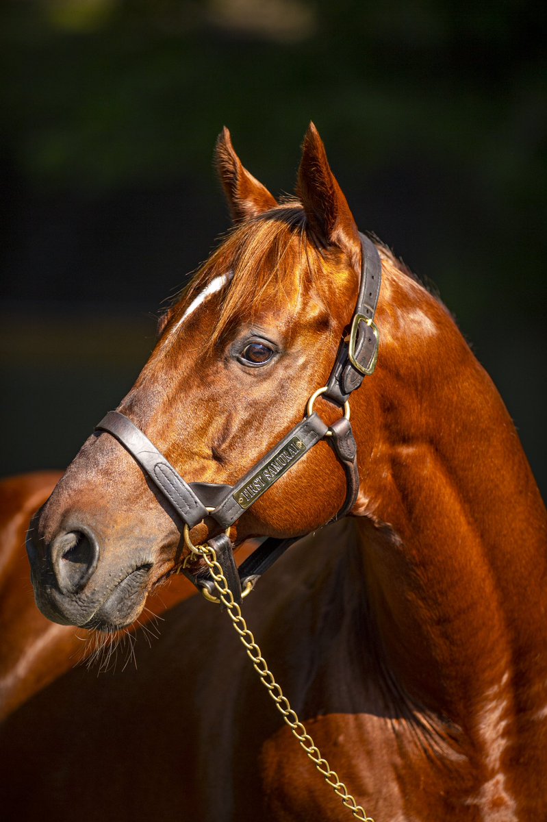 Claiborne Farm tweet media