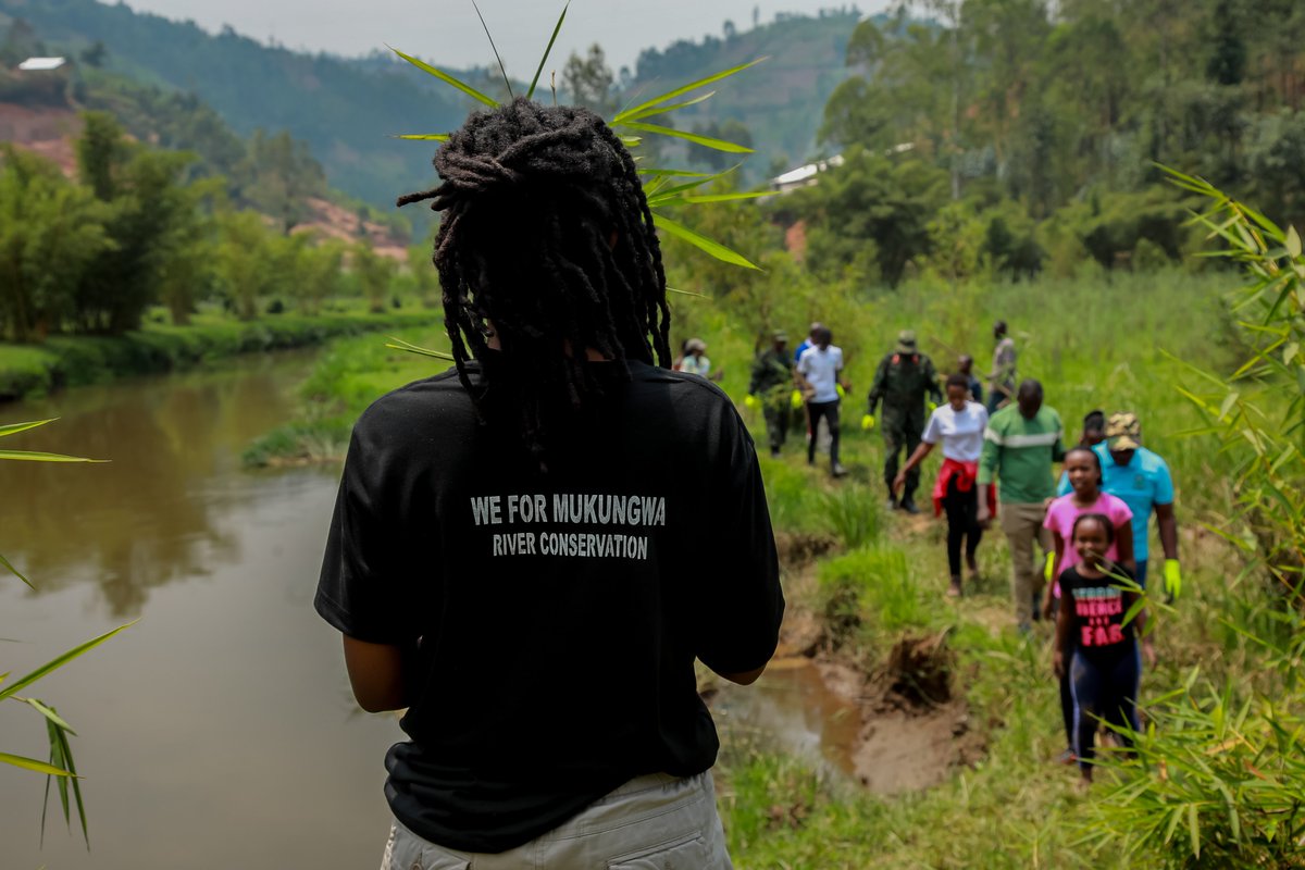 Urubyiruko n’ abayobozi bateye imigano bashishikaye, imigano yatewe kunkengero zombi z’ umugezi ku burebure bwa Km 2 kuntera ya metero 5 hagati y’ umugano n’ undi.