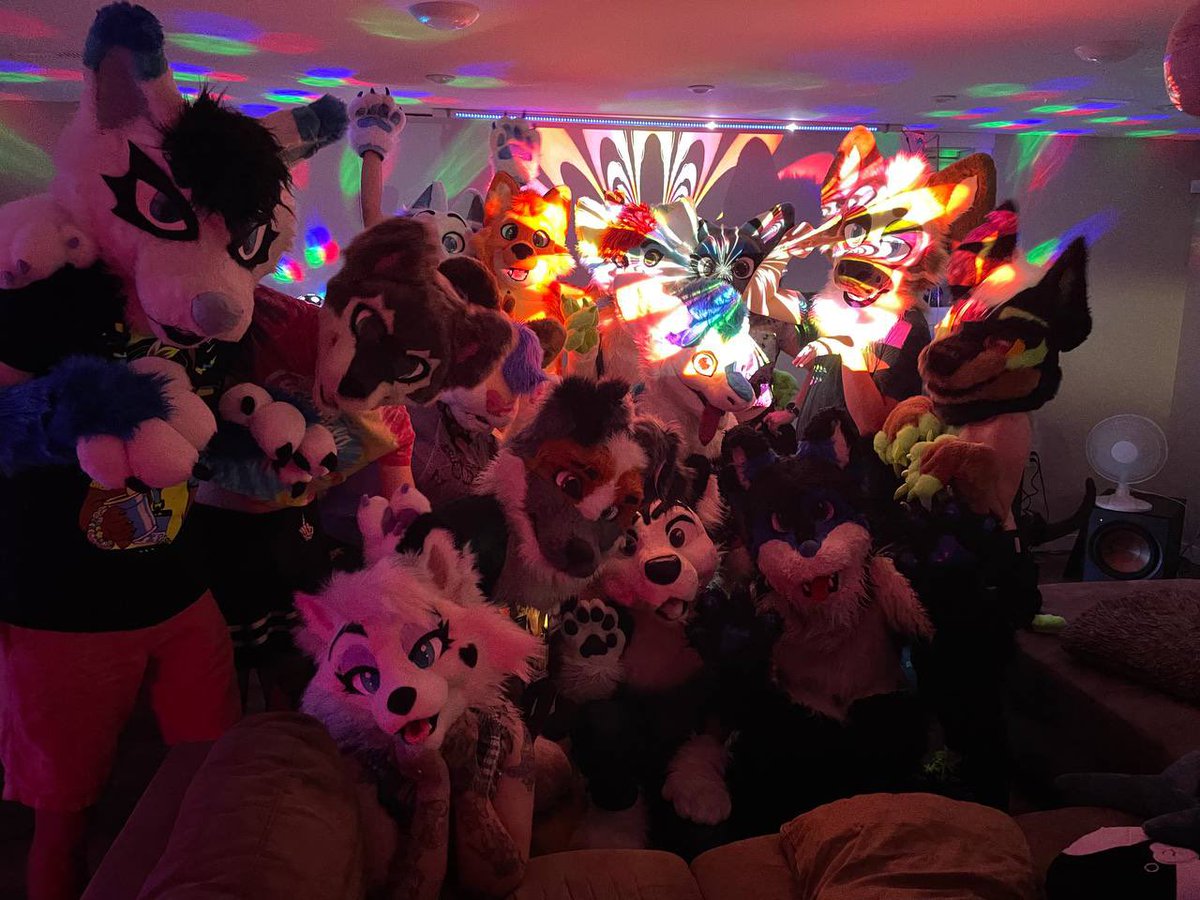 lilsoftpup's tweet photo. LAST NIGHT WAS SO GOOD 💓 https://t.co/UOciUZjB2B