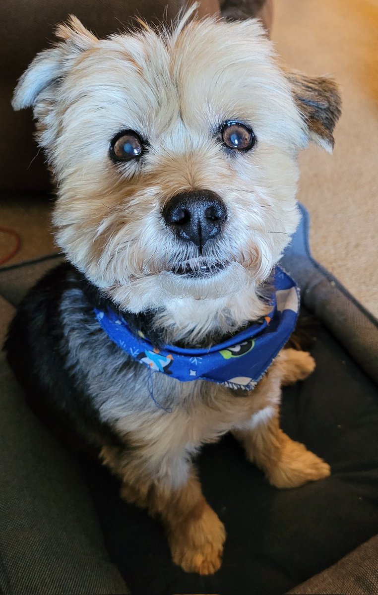 Chantal Fleming tweet media