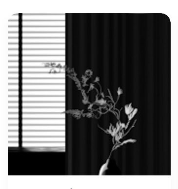 ごまちゃん tweet media