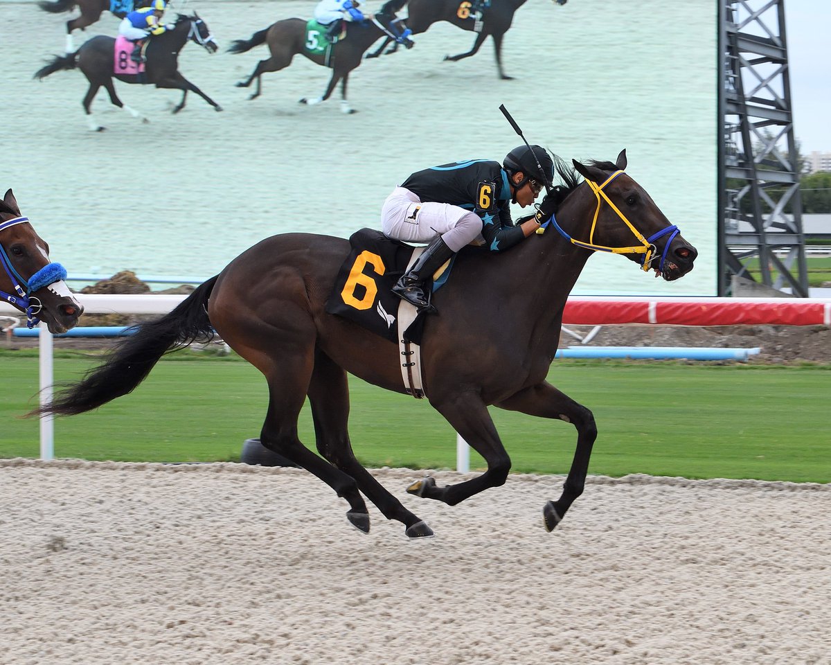 Ride On Beauty and <a href="/JockeyVasquez/">Wilfred Vasquez</a> pull away in the final stretch to capture race 10 for trainer <a href="/JGaroffalo/">Jose Garoffalo</a>. #GulfstreamPark #RoyalPalmMeet