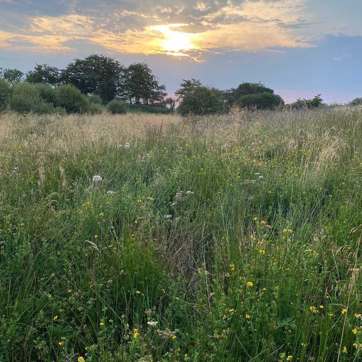 WelshVernacular's tweet photo. Nos da bawb / Good night everybody,
Regards, Yvonne, Jon, Llion Sior &amp; Gwesyn Hedd xx

#welshvernacularantiques #welshvernacular #welshantiquedealers #antiquedealersofinstagram #nature #sunsetlandscape #welshcountryside #ruralliving #scoutingfamily #ceredigion #westwales https://t.co/NMbFyGbzrN