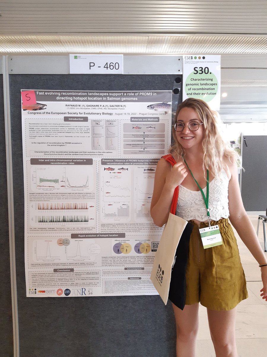 Marie Raynaud tweet media