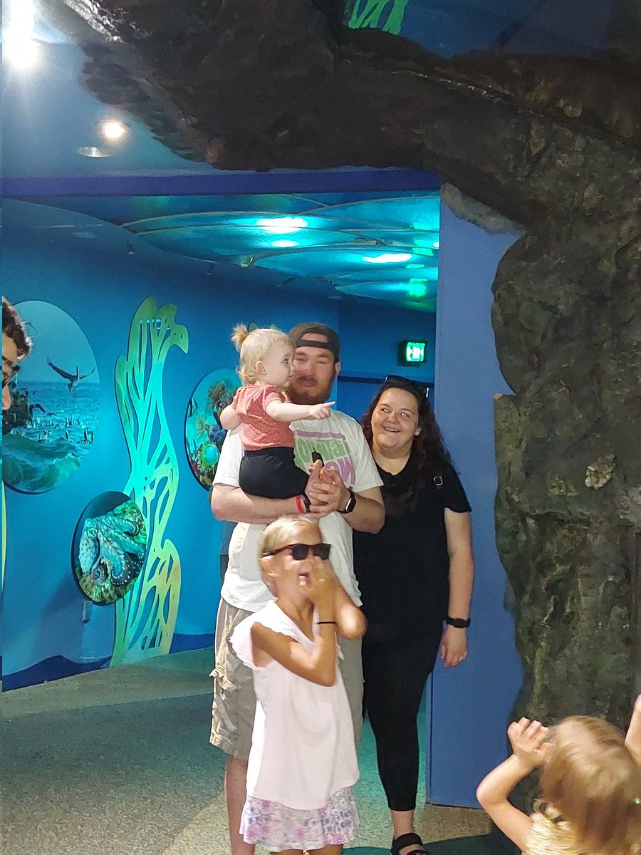 BellamenteRotto's tweet photo. #brookfieldzoo #SundayFunday #sundayvibes https://t.co/DapUmnW9XZ