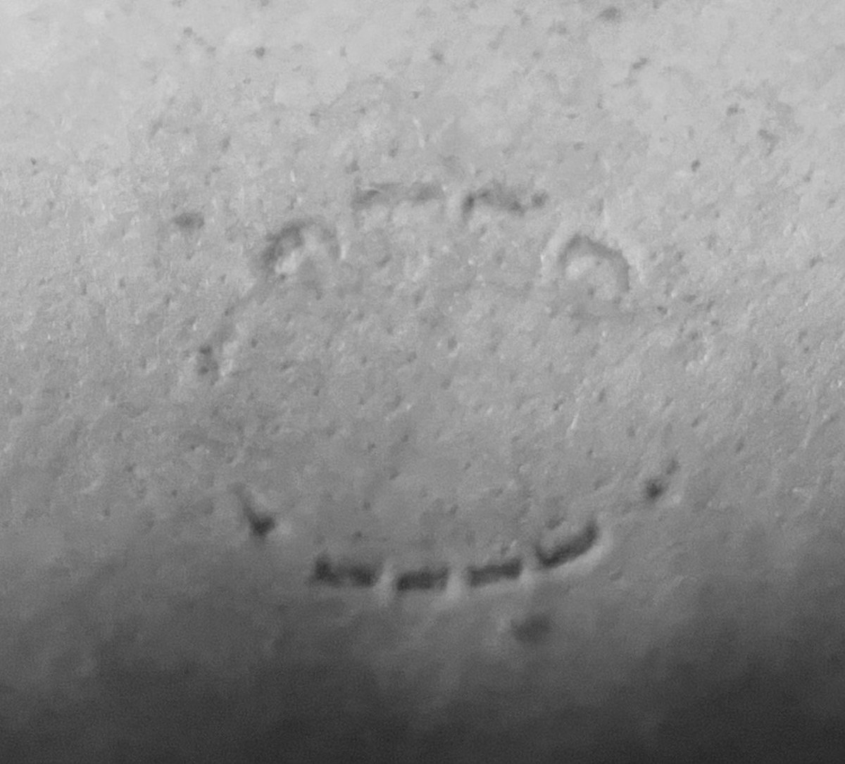 BeaHaines's tweet photo. Little nipper

Toddler bite relief in skin

#littlenipper #bite #toothy #toddlerteeth #bodyprint #bodyimprint #odontology #abiteoflife https://t.co/P3CS2eVMOG