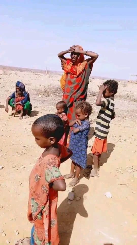 AbdurazakMo's tweet photo. We condemn and denounce the ongoing Genocide committing daily by Afar regional State police against nomadic Somali people in WEST SITTI zone. https://t.co/lwa1FKYGaD