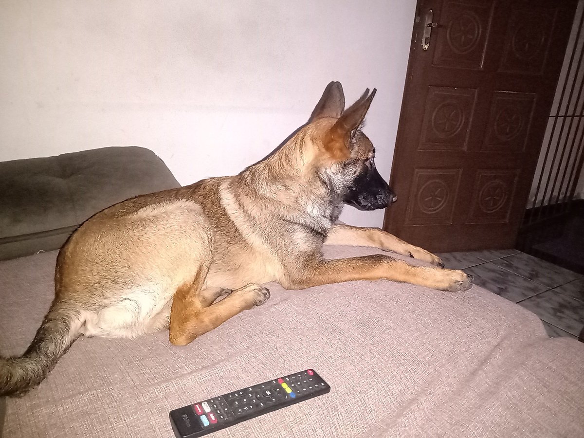 cmangeli's tweet photo. O jogo comendo solto e Nadal só de camarote#TênisNaESPN https://t.co/04lx2m3M89
