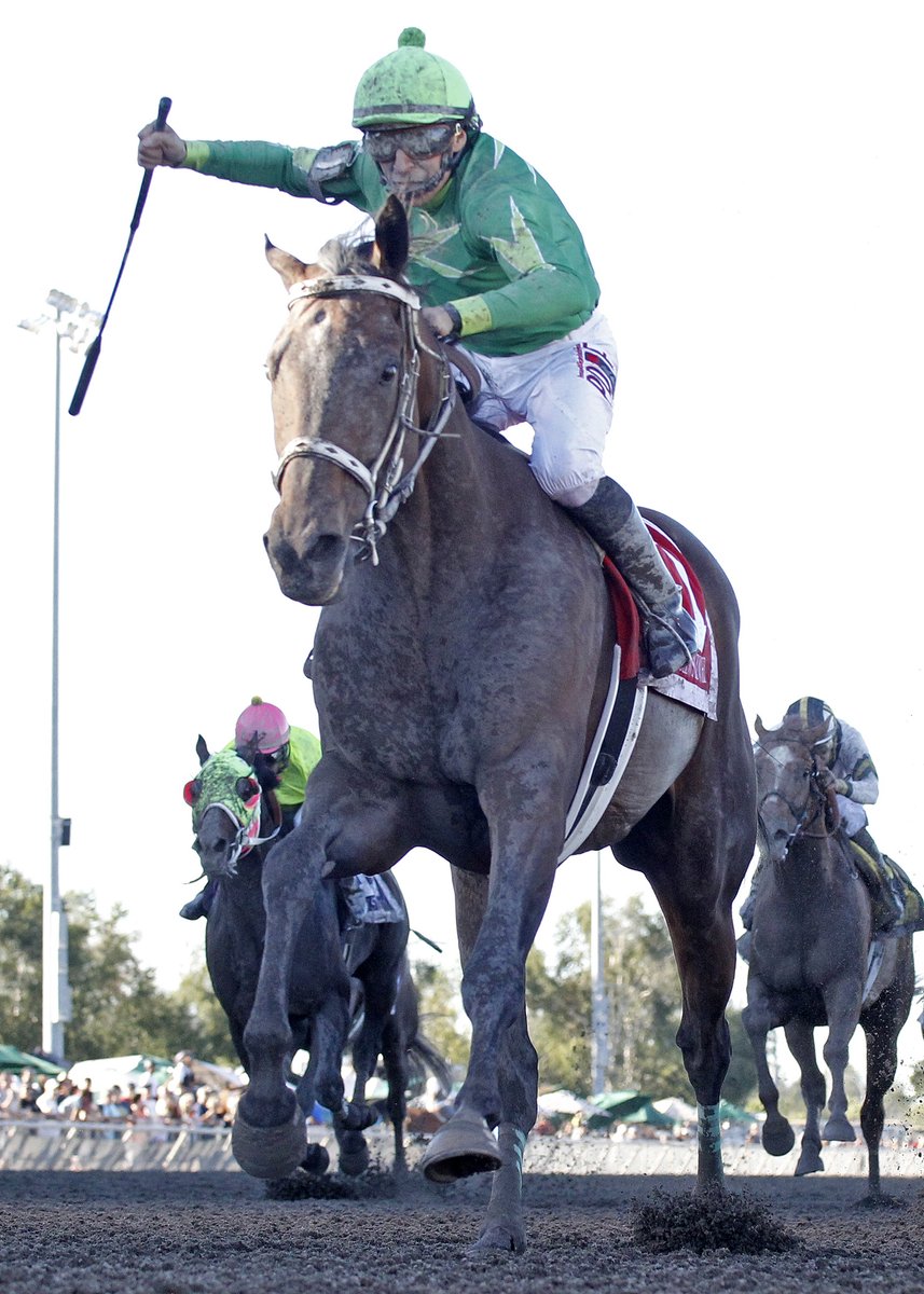 EmeraldDowns's tweet photo. 87th Longacres Mile

Longtime jockey Jose Zunino flashes past the wire aboard the winner Slew's Tiz Whiz.

Today's handle of $3.2 million was the second highest in track history. https://t.co/3eATrlYkvS