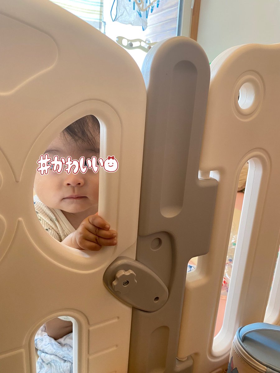 sb__M1's tweet photo. 覗かれている👀 https://t.co/dX86EQYrWq