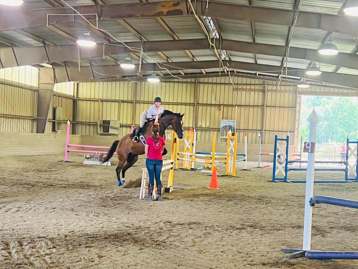 TheFoxieG's tweet photo. It’s a wrap! Thanks to everyone who supported the show today. King Congo, a Foxie G graduate, won a blue ribbon, Maisie, another Foxie G grad, participated &amp; our wonderful volunteer, Amy, won 1st &amp; 2nd place with support from Scott &amp; Joann. #foxieg https://t.co/5wioMwGHOs