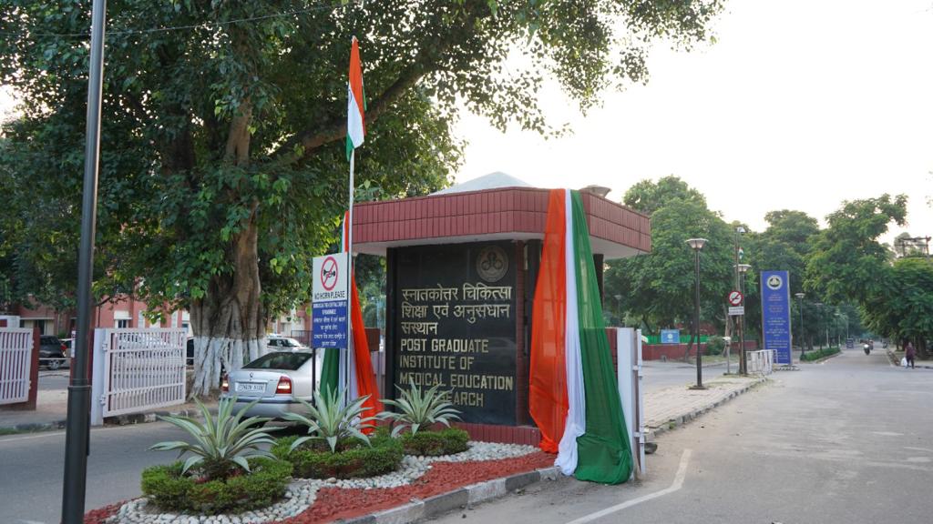 ROTTO NORTH tweet media