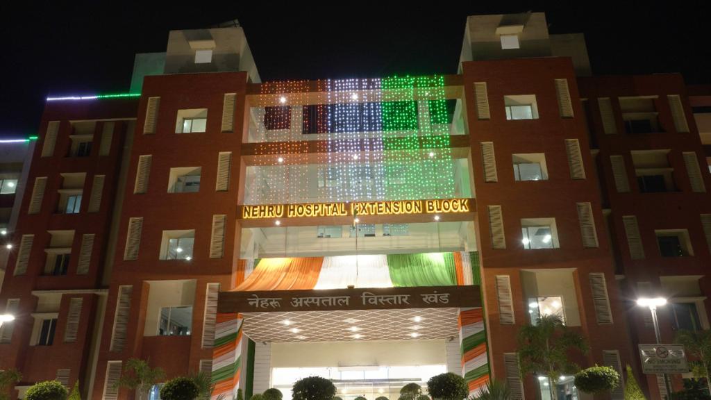 ROTTO NORTH tweet media