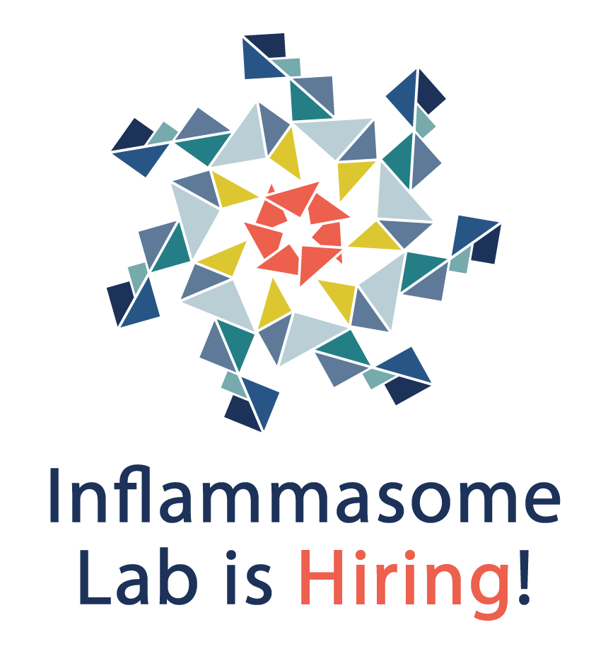 We are hiring! The Inflammasome Lab seeks an enthusiastic research assistant with experience in mouse work. Join us to find out how #inflammation drive chronic diseases. *Please RT* <a href="/IMBatUQ/">Institute for Molecular Bioscience</a> <a href="/UQ_News/">UQ News</a> bit.ly/3dkuxb6
