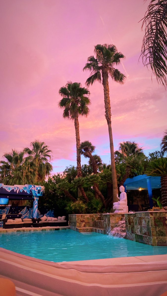 my happy place will forever be this hammock🌴