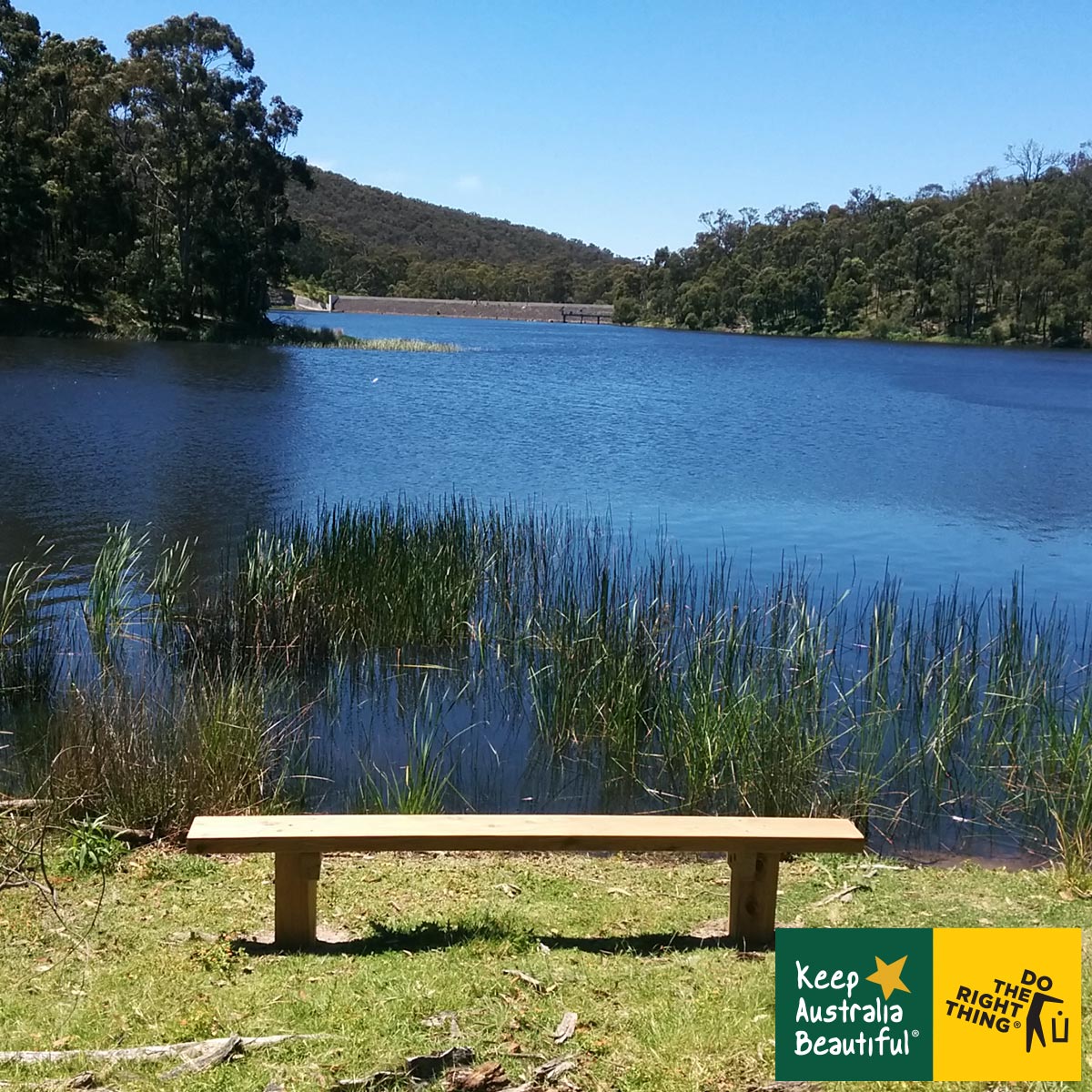 BarwonWater's tweet image. Today is the start of Keep Australia Beautiful Week, which runs from 15 August to 21 August, with the focus on “Waste Reduction”.

You can read more and register for Contain Your Waste challenge: kab.org.au/campaigns/kabw…

#ContainYourWaste #KABWeek #KeepAustraliaBeautifulWeek