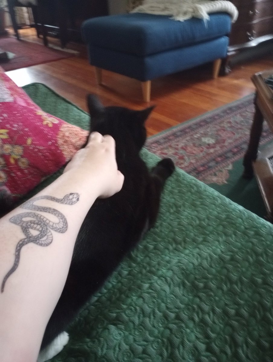 HannahJoyce00's tweet photo. @danielhowell New (first!) tattoo + very introverted rescue cat bestowing rare affection https://t.co/bF46oZKVgy