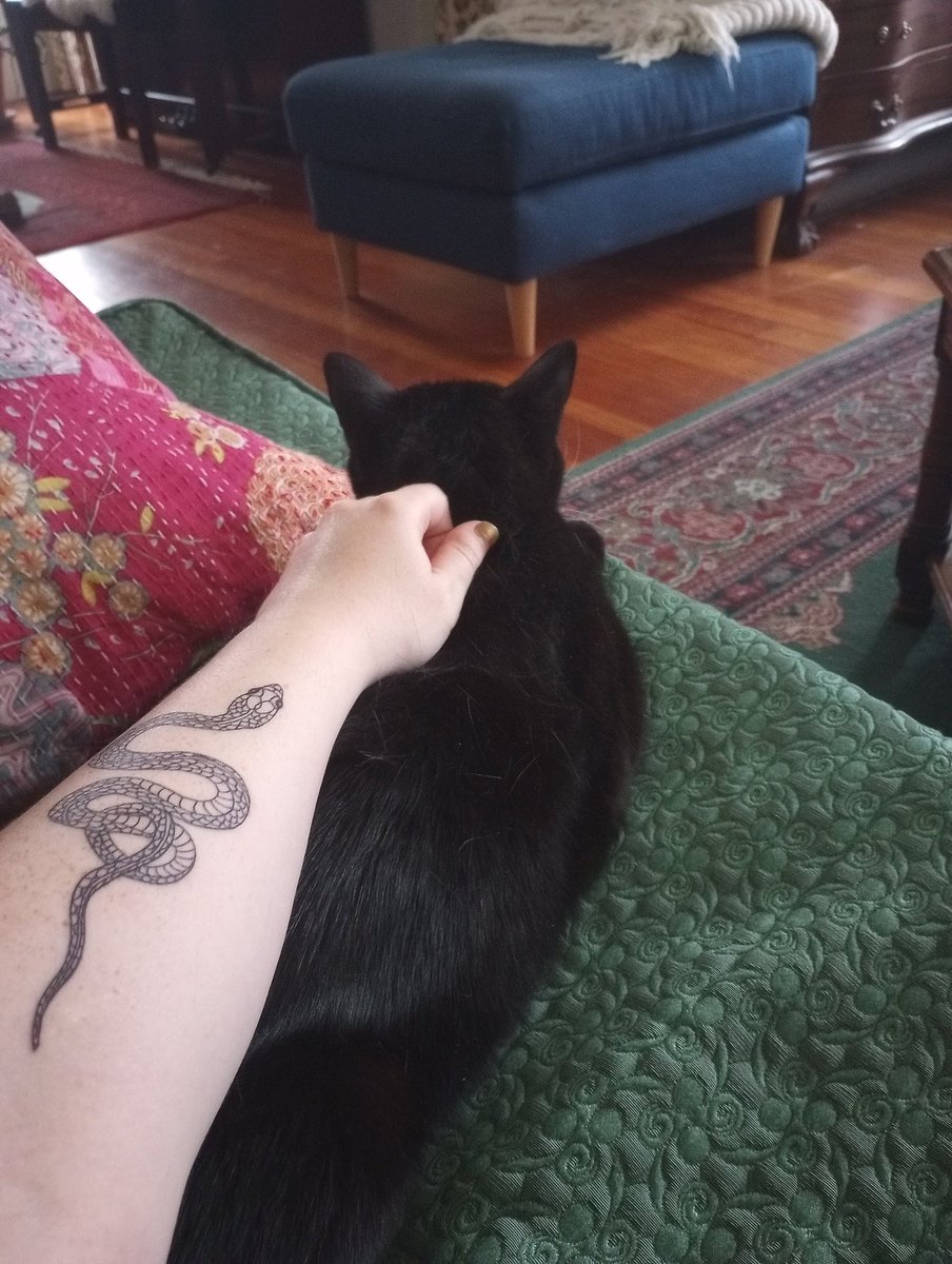 HannahJoyce00's tweet photo. @danielhowell New (first!) tattoo + very introverted rescue cat bestowing rare affection https://t.co/bF46oZKVgy