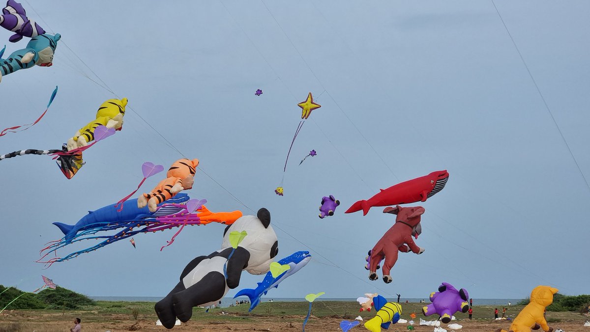 Chennai Updates on Twitter "The Int’l Kite Festival at Mamallapuram is