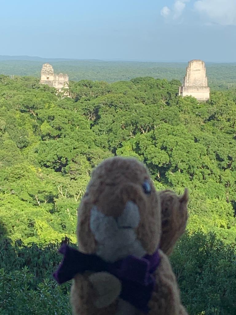 RlsStratton's tweet photo. What’s happened to Stephan - he promised us updates from Japan.  Anyway, Steve’s deep in the Guatemalan jungle today https://t.co/Dm9uQXRri3