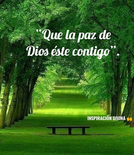 InspDivina's tweet photo. https://t.co/e4dzGe5O7F