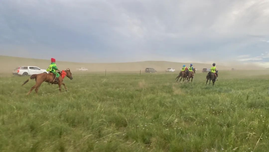 CRAchinaracing's tweet photo. As the marque event of the 2022 Nadam Grassland Cultural and Tourism Festival in Hulunbuir, North China's Inner Mongolia Autonomous Region, the "Chinese People Grand Horse Racing" series kicked off at the the Borgde Wula Racetrack on July 30. https://t.co/JI0DkpF8ng