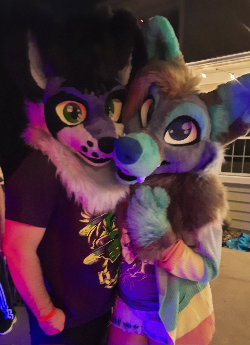 2Cute4Awoo 🐺 Sheruto Wolvsein 🇺🇦🇵🇸 (@sherutowolvsein) on Twitter photo Had a really good night at <a href="/ForrestHusky/">Forresthusky</a>'s yesterday! Definitely makes me sad I have to be a person tomorrow lol. #furryfandom Had a really good night at <a href="/ForrestHusky/">Forresthusky</a>'s yesterday! Definitely makes me sad I have to be a person tomorrow lol. #furryfandom