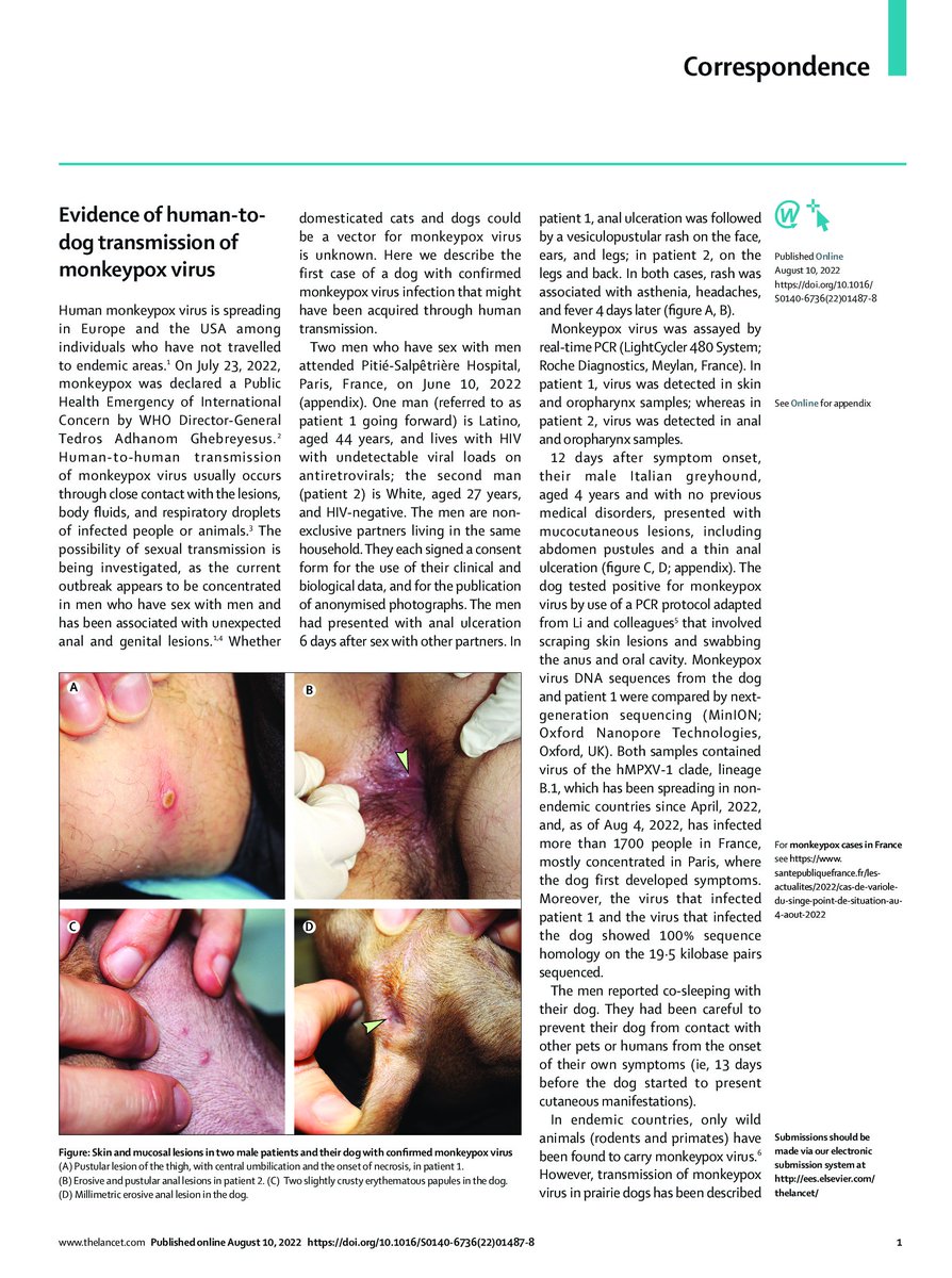 593ProSeg's tweet photo. VIRUELA DEL MONO: EVIDENCIA de TRANSMISION de HUMANO a PERRO del VIRUS de la VIRUELA del MONO. Fuente: THE LANCET
.
.
#Covid19 - #coronavirus - #proseg &amp; #Saludsa -  #seguromedico - #medicinaprepagada - #seguros - #enfermedad - #HepatitisInfantil - #ViruelaDelMono - #langya https://t.co/fJFfGqzJWY