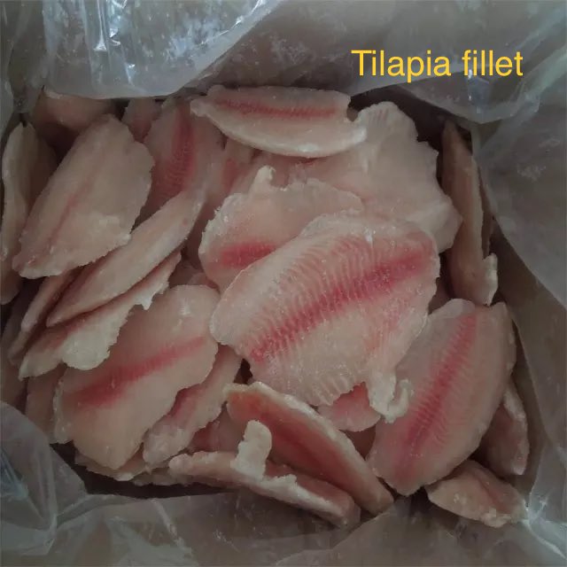 Frozen tilapia Fillets exported with high quality.
Any interest pls contact me below:
WhatsApp: +8615192796099
WeChat    : +8617662701293
Email         : xyk1205@126.com
Skype        : xingyunkuo