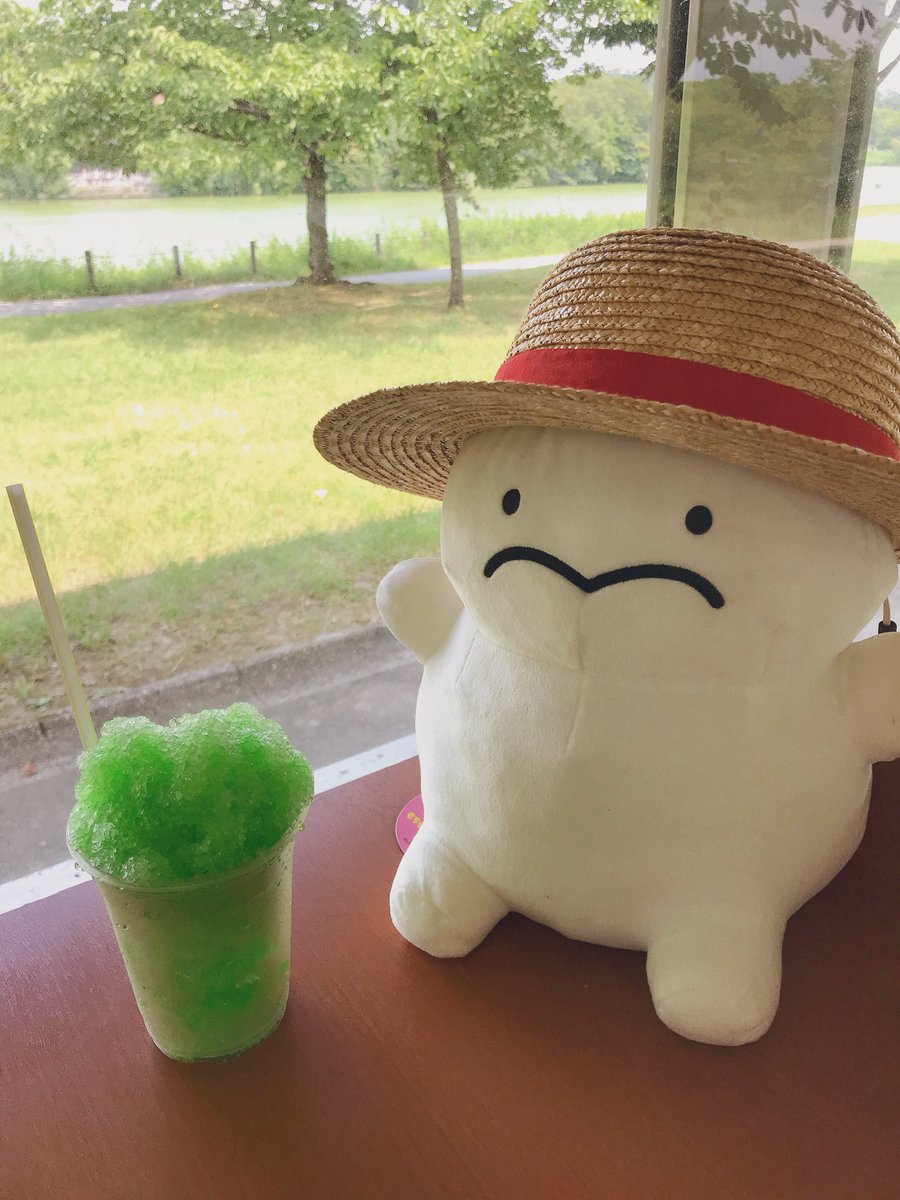 NconFv's tweet photo. 帰省中〜ぷりと夏を感じてます✨✨
休憩はかき氷🍧ぷりならやっぱりメロン味！🍈
あピッタリの麦わら帽子も！👒

#ぷりぷりうちゅうじん https://t.co/UZWvJyYG8J